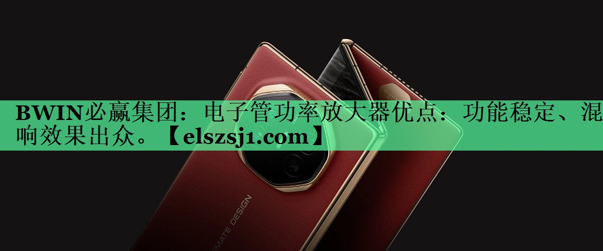 BWIN必赢集团：电子管功率放大器优点：功能稳定、混响效果出众。
