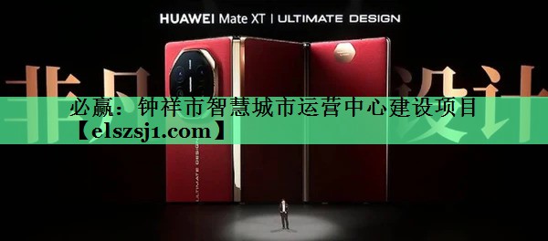必赢：钟祥市智慧城市运营中心建设项目