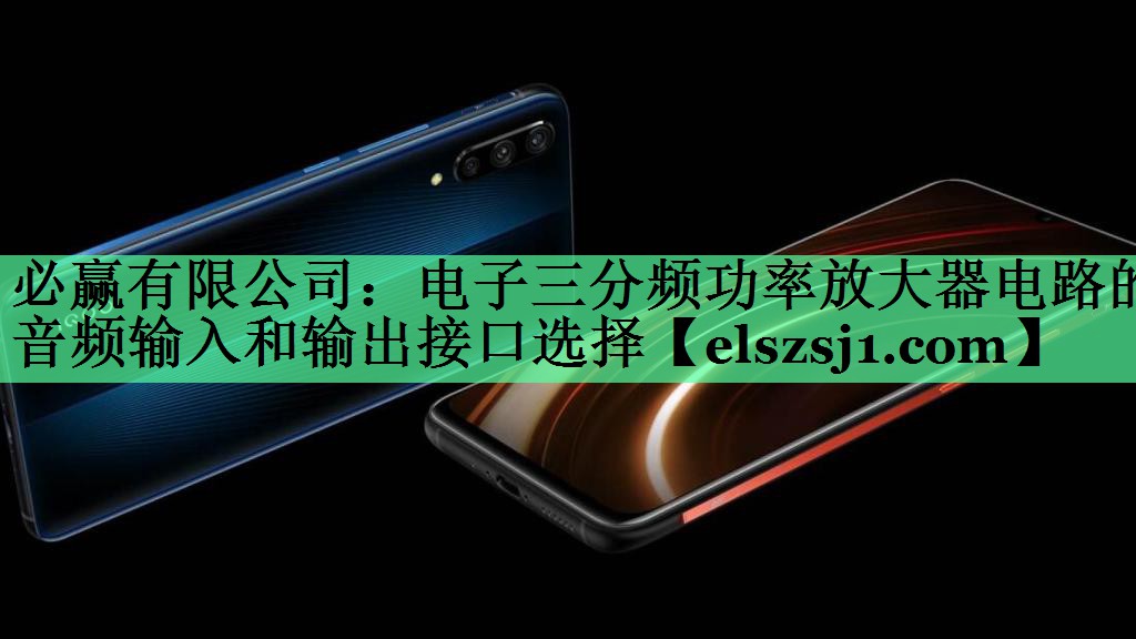 必赢有限公司:电子三分频功率放大器电路的音频输入和输出接口选择 必赢有限公司:电子三分频功率放大器电路的音频输入和输出接口选择