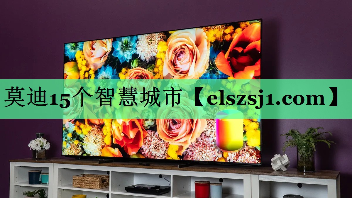 莫迪15个智慧城市